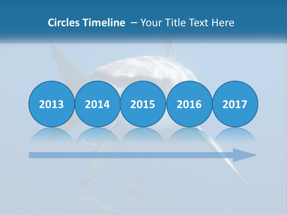 A Great White Shark Swimming In The Ocean PowerPoint Template