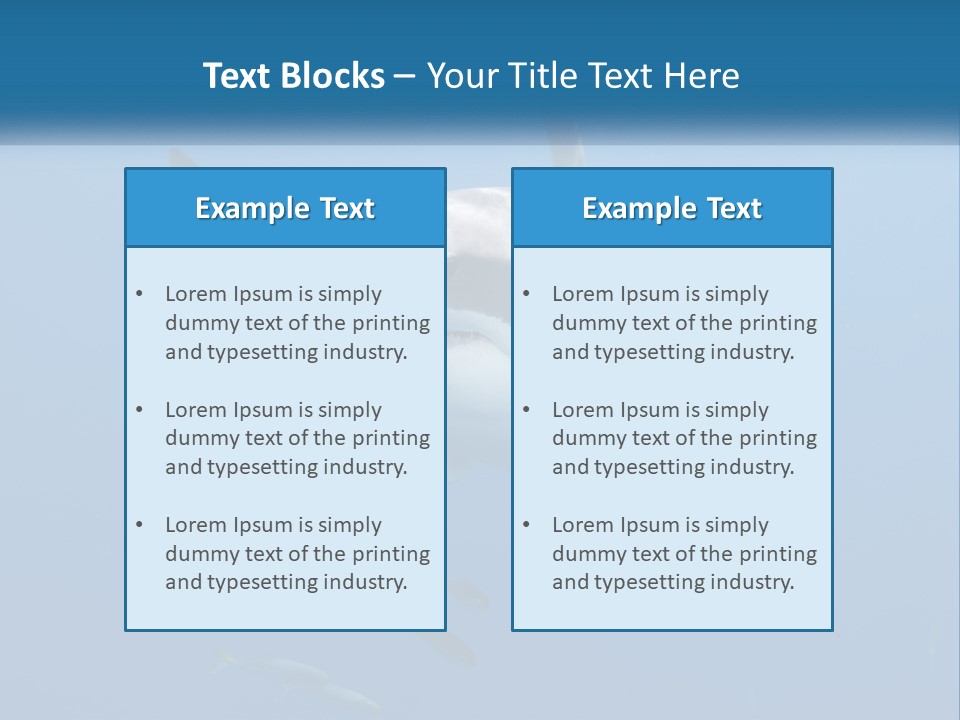 A Great White Shark Swimming In The Ocean PowerPoint Template