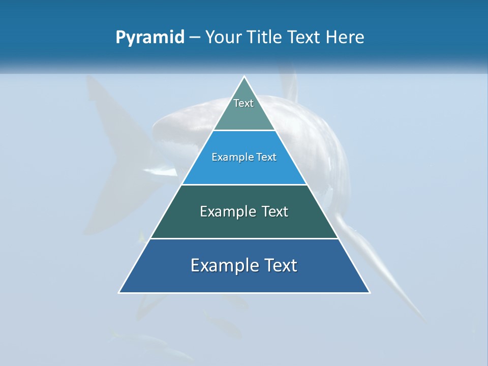 A Great White Shark Swimming In The Ocean PowerPoint Template