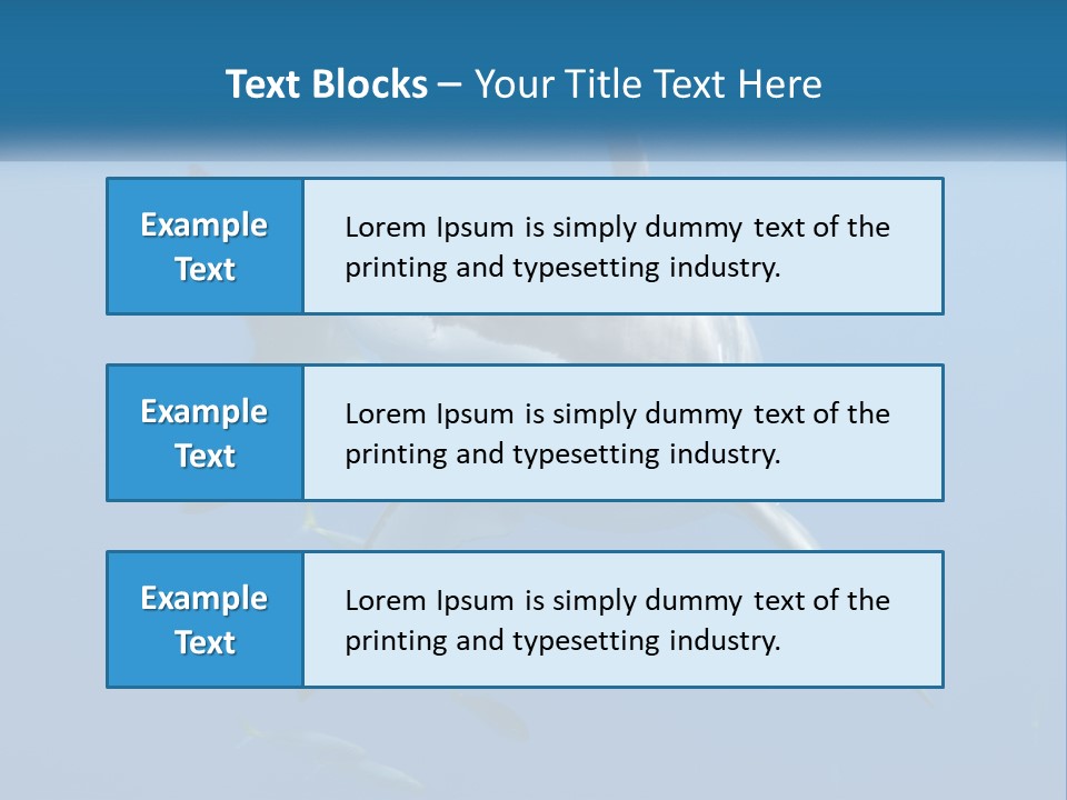 A Great White Shark Swimming In The Ocean PowerPoint Template