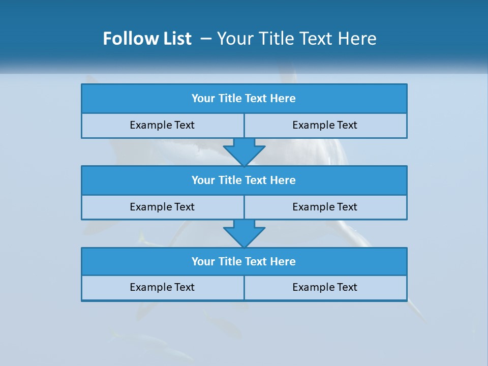 A Great White Shark Swimming In The Ocean PowerPoint Template