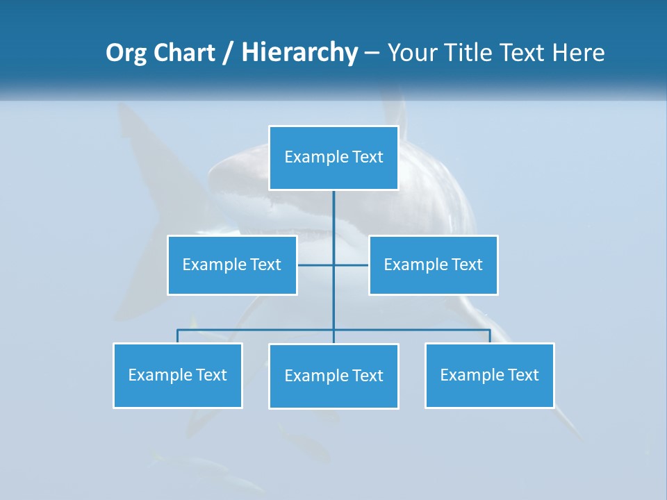 A Great White Shark Swimming In The Ocean PowerPoint Template