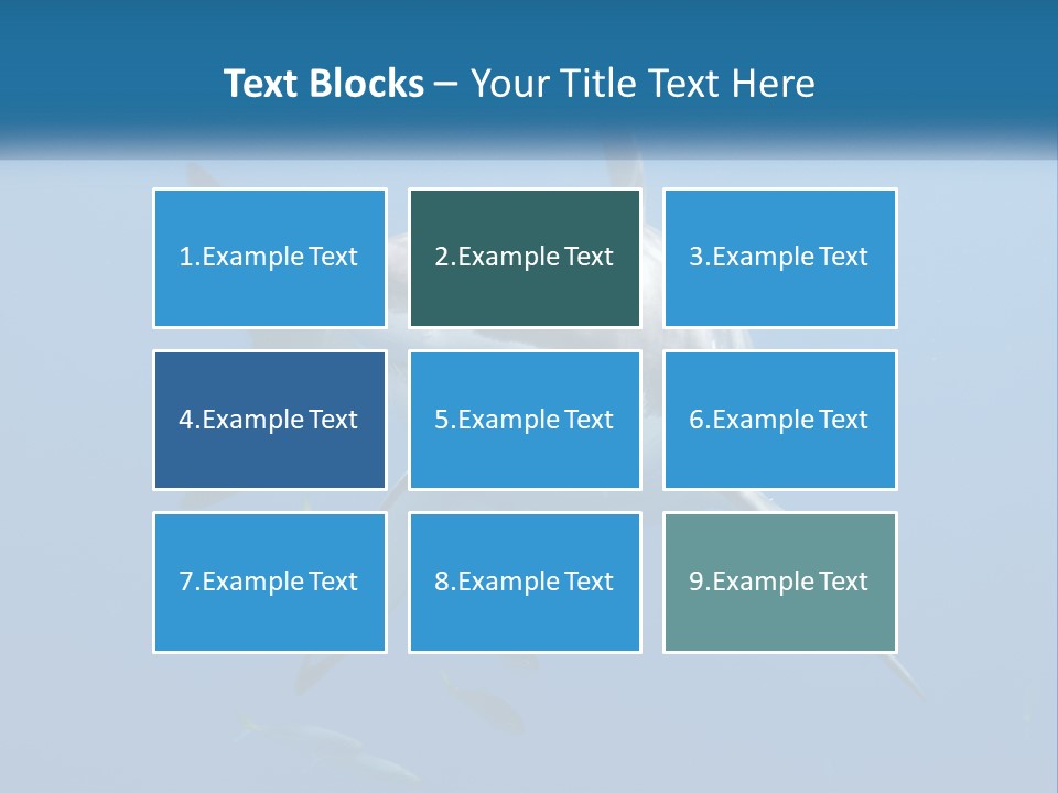 A Great White Shark Swimming In The Ocean PowerPoint Template