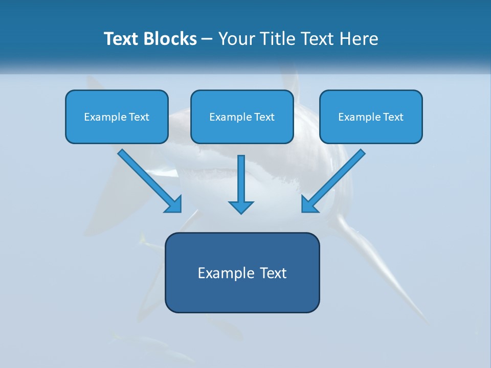 A Great White Shark Swimming In The Ocean PowerPoint Template