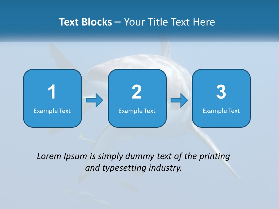 A Great White Shark Swimming In The Ocean PowerPoint Template