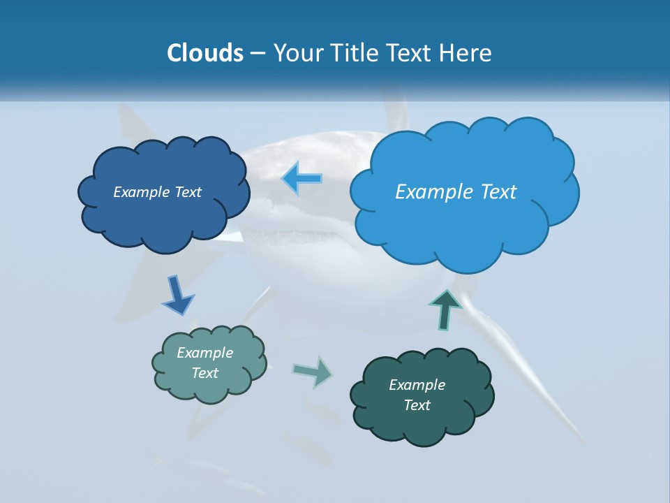 A Great White Shark Swimming In The Ocean PowerPoint Template