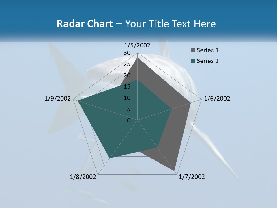 A Great White Shark Swimming In The Ocean PowerPoint Template