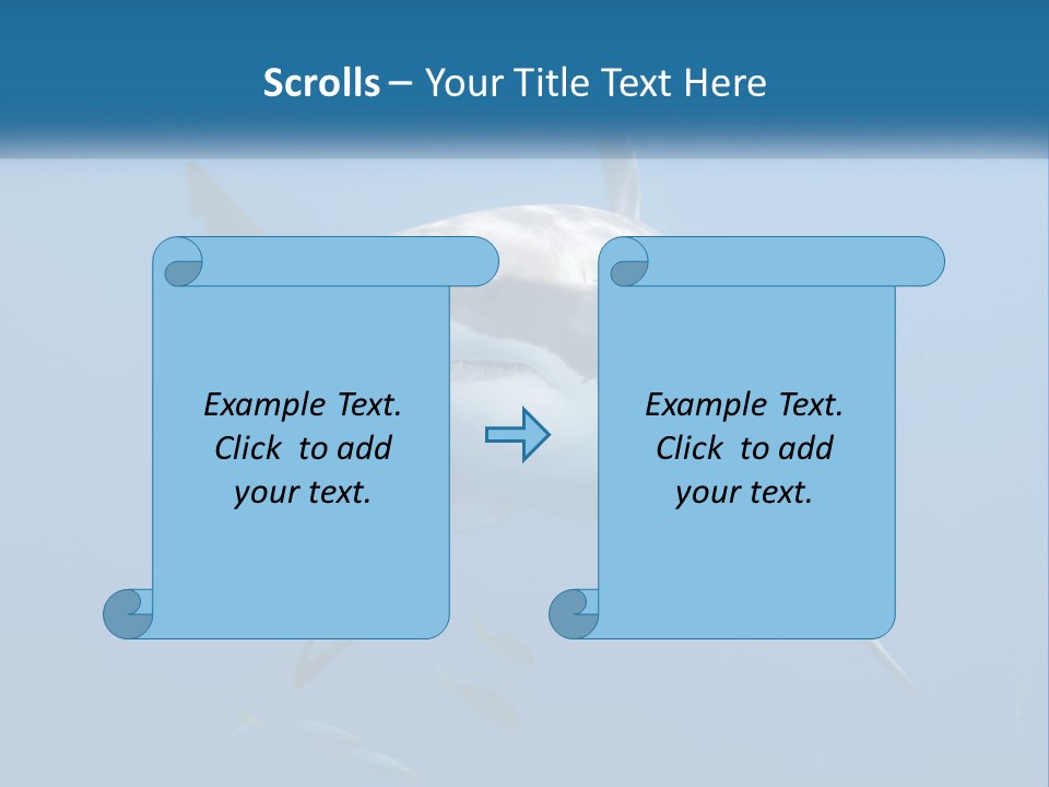 A Great White Shark Swimming In The Ocean PowerPoint Template