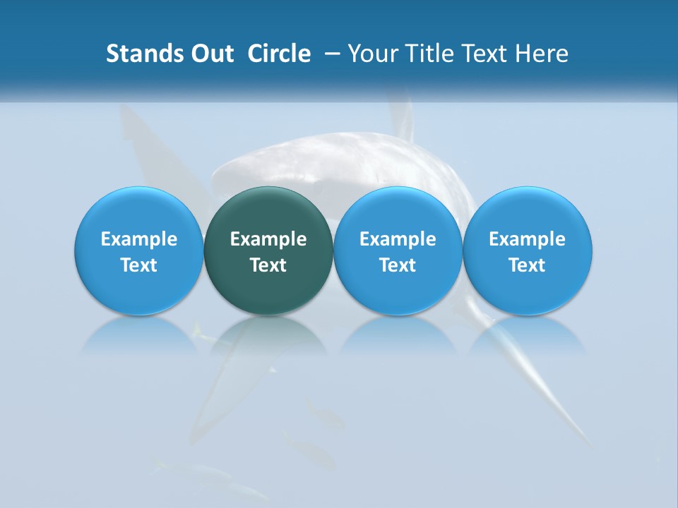 A Great White Shark Swimming In The Ocean PowerPoint Template