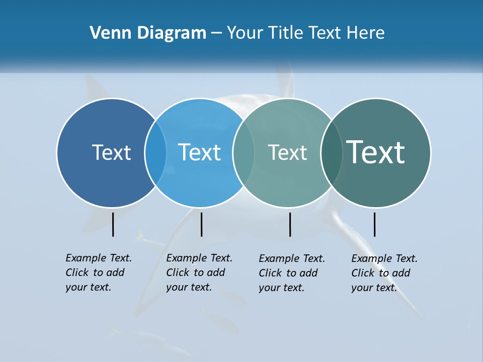 A Great White Shark Swimming In The Ocean PowerPoint Template