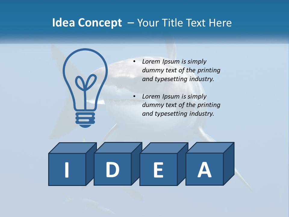 A Great White Shark Swimming In The Ocean PowerPoint Template