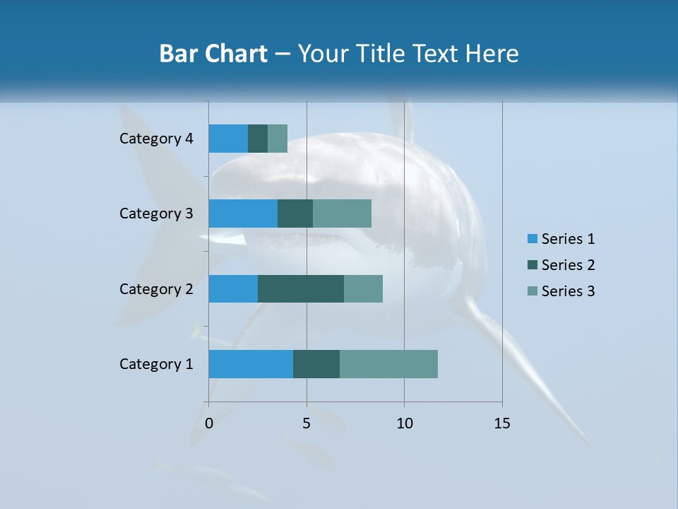 A Great White Shark Swimming In The Ocean PowerPoint Template