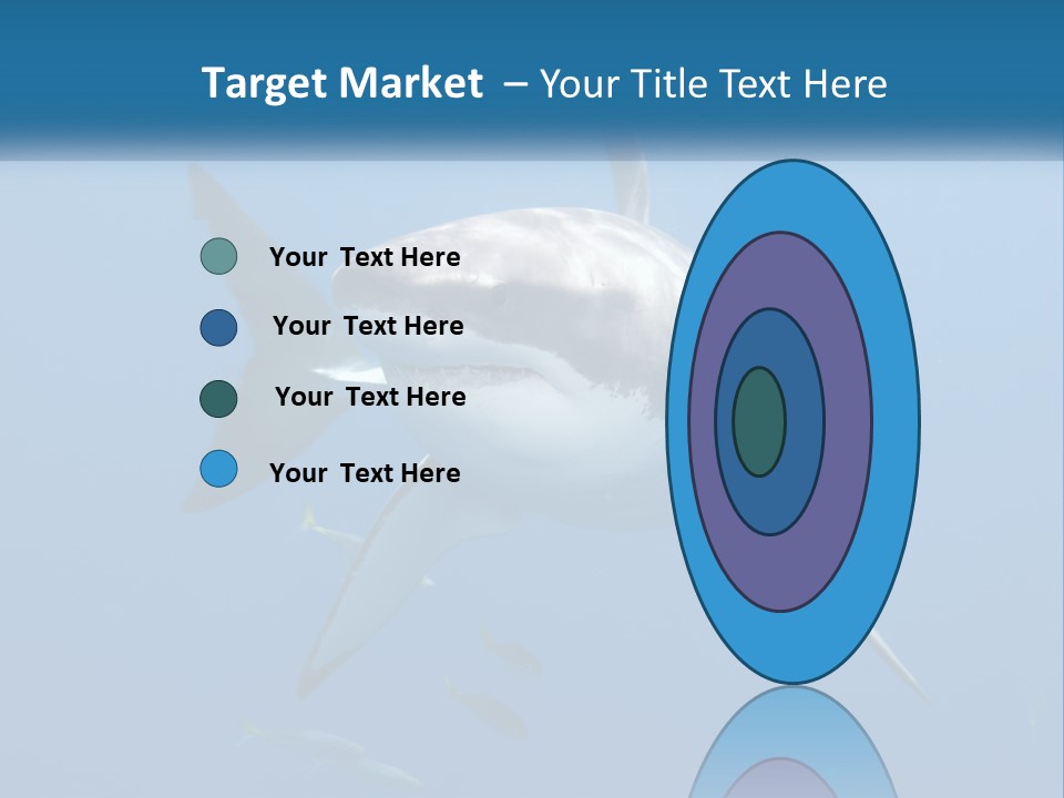 A Great White Shark Swimming In The Ocean PowerPoint Template