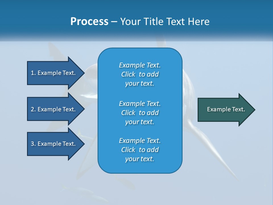 A Great White Shark Swimming In The Ocean PowerPoint Template