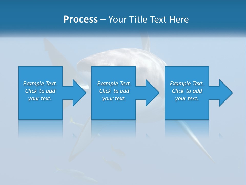 A Great White Shark Swimming In The Ocean PowerPoint Template