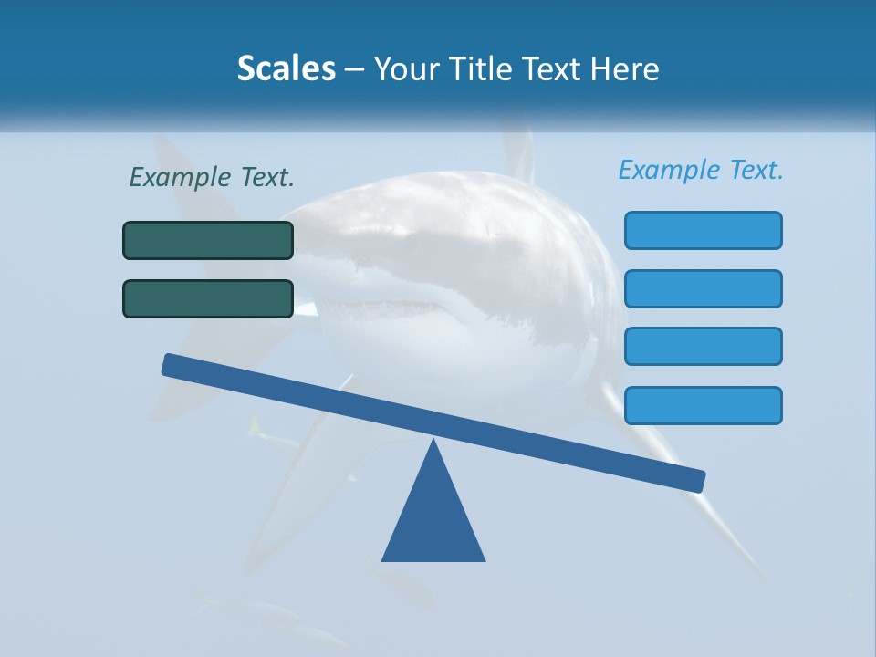 A Great White Shark Swimming In The Ocean PowerPoint Template