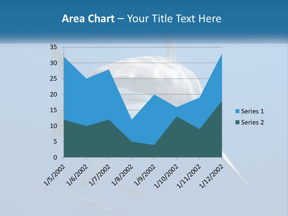 A Great White Shark Swimming In The Ocean PowerPoint Template