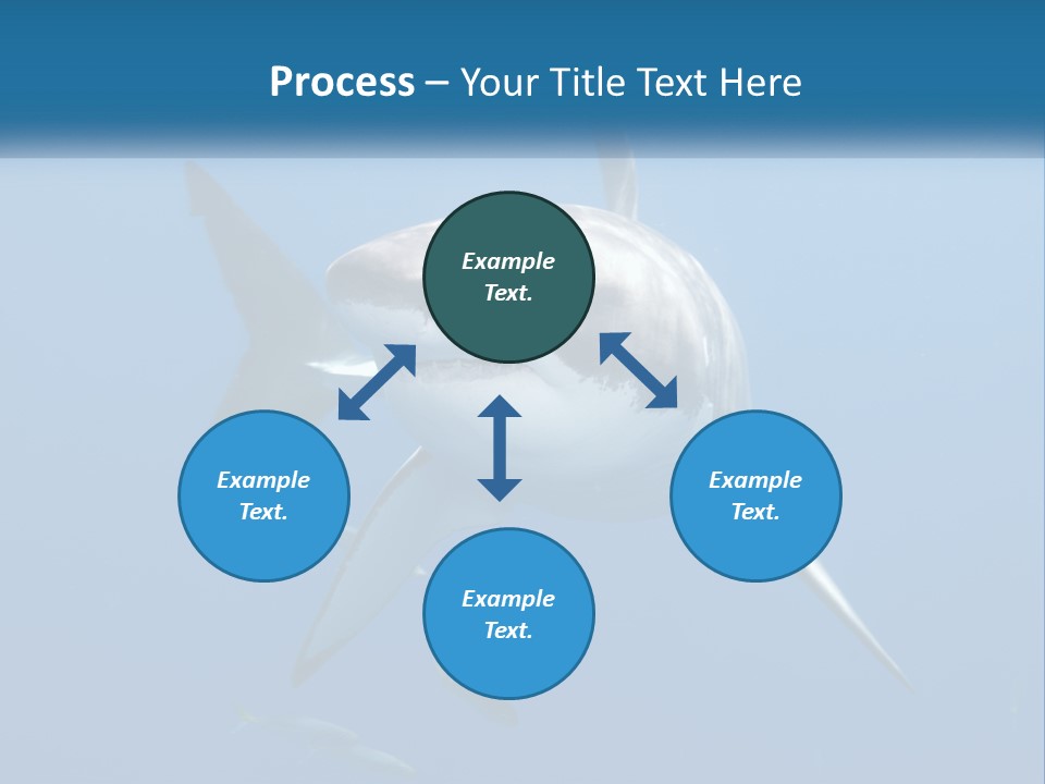 A Great White Shark Swimming In The Ocean PowerPoint Template