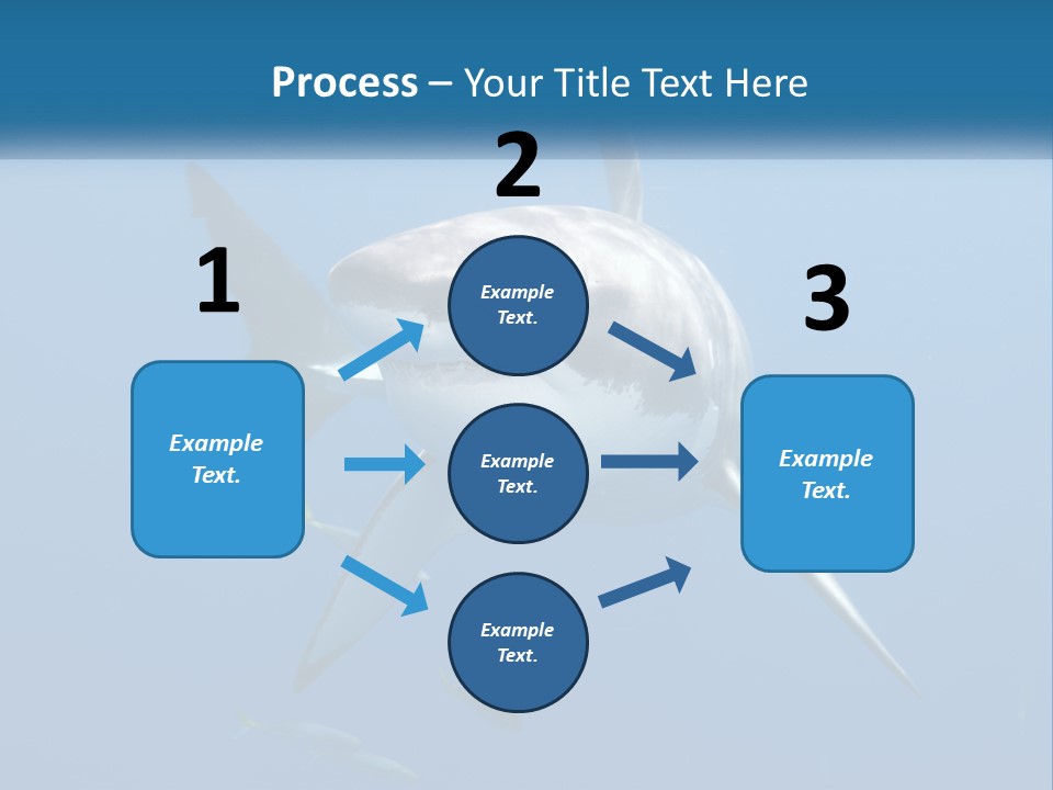 A Great White Shark Swimming In The Ocean PowerPoint Template