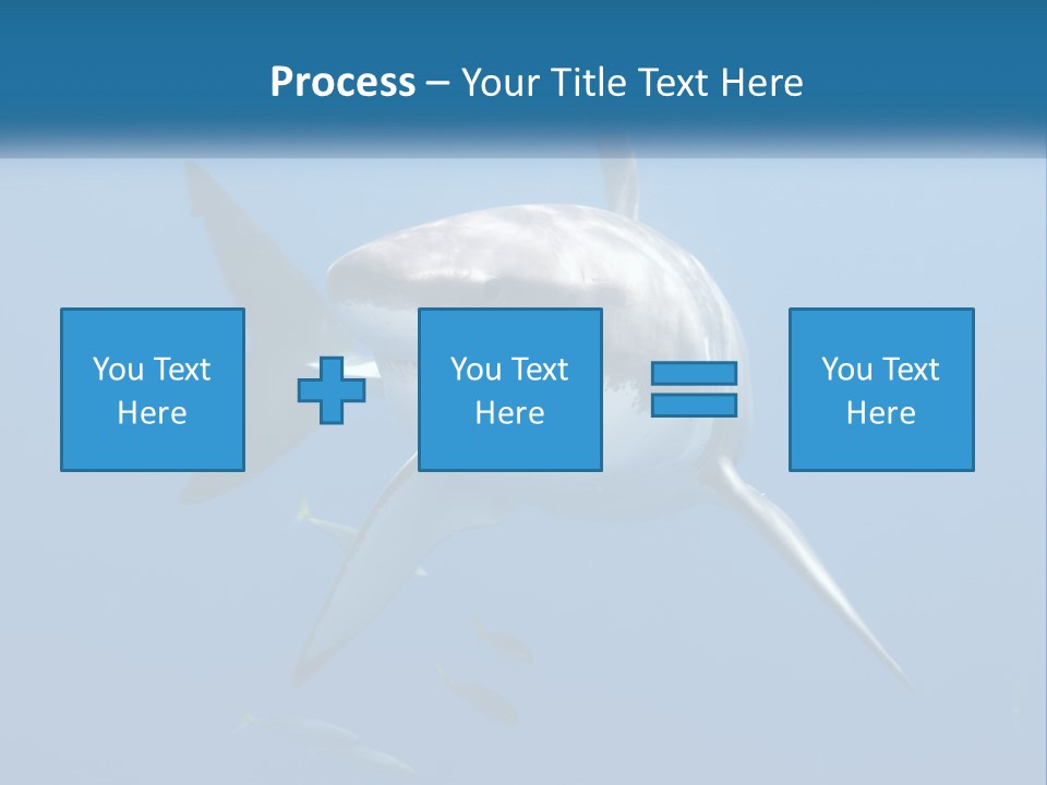 A Great White Shark Swimming In The Ocean PowerPoint Template