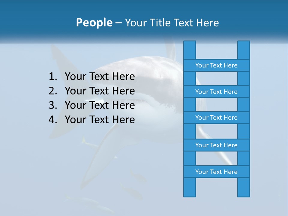 A Great White Shark Swimming In The Ocean PowerPoint Template