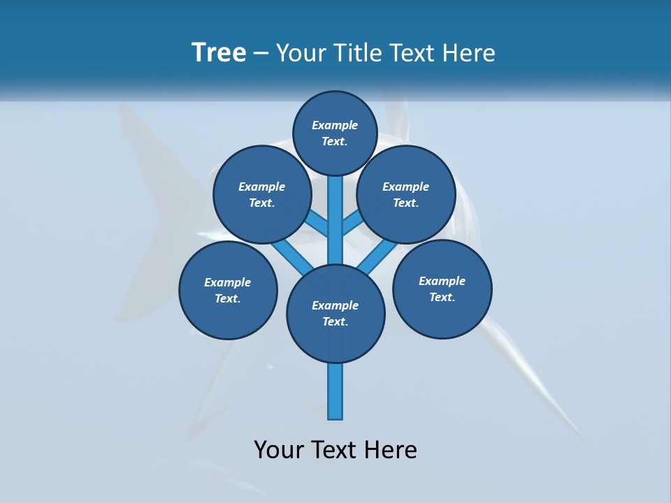 A Great White Shark Swimming In The Ocean PowerPoint Template