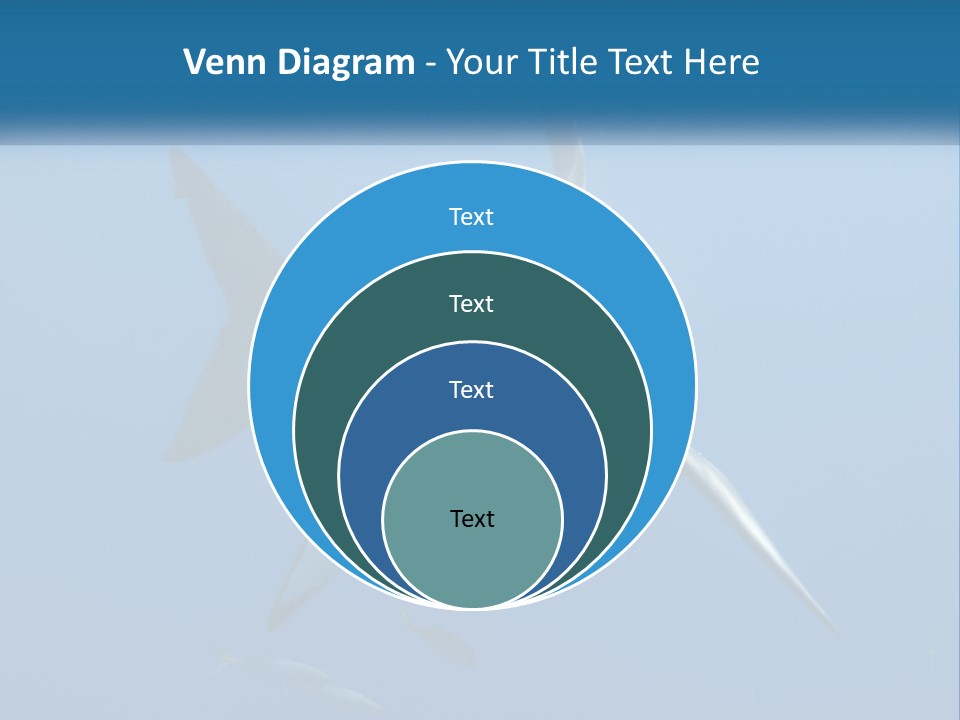 A Great White Shark Swimming In The Ocean PowerPoint Template