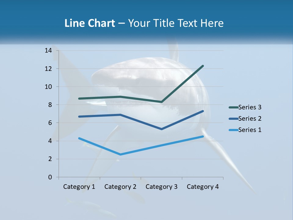 A Great White Shark Swimming In The Ocean PowerPoint Template