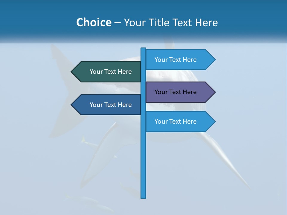 A Great White Shark Swimming In The Ocean PowerPoint Template