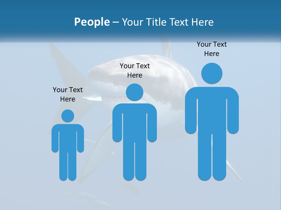 A Great White Shark Swimming In The Ocean PowerPoint Template