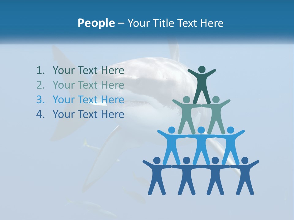 A Great White Shark Swimming In The Ocean PowerPoint Template