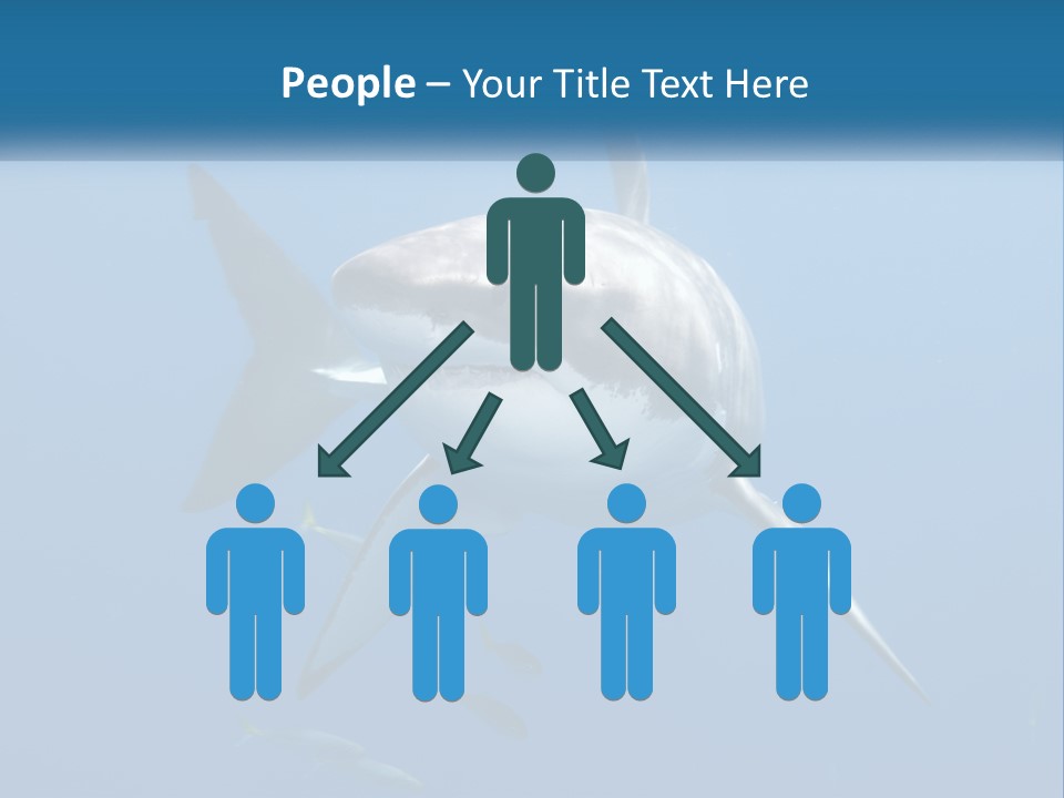 A Great White Shark Swimming In The Ocean PowerPoint Template