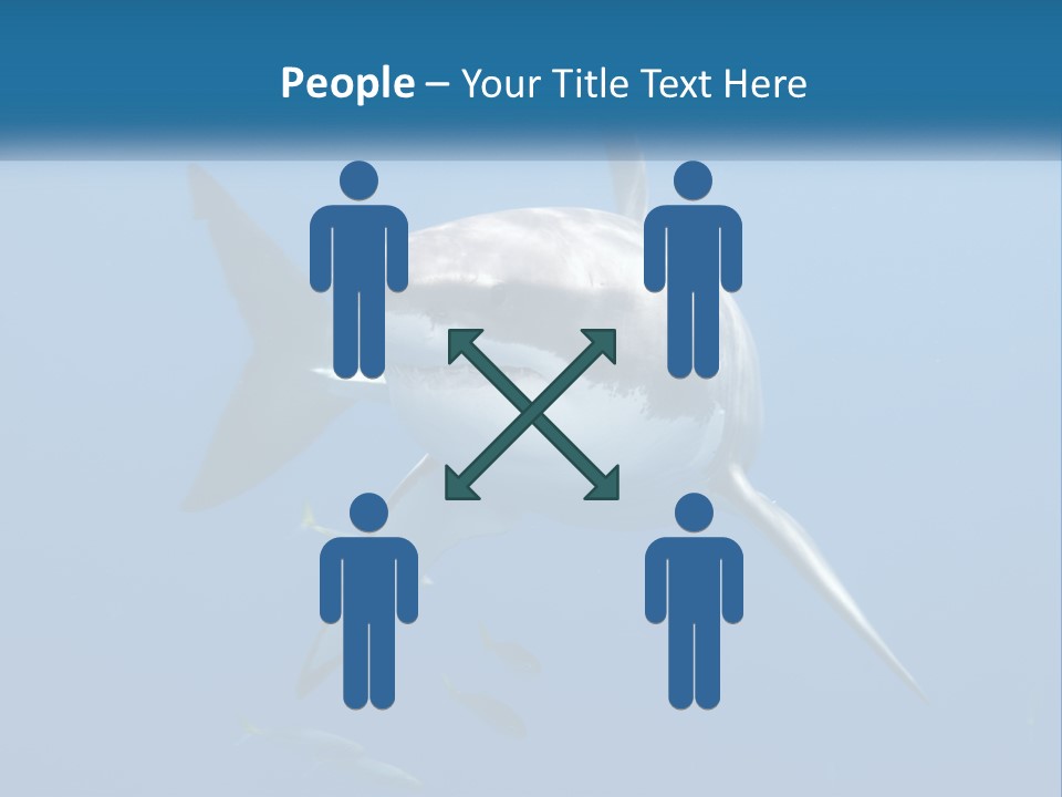 A Great White Shark Swimming In The Ocean PowerPoint Template