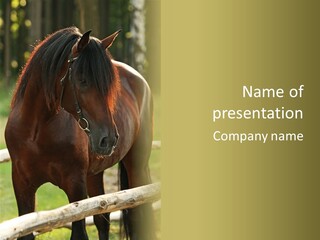 A Brown Horse Standing Next To A Wooden Fence PowerPoint Template