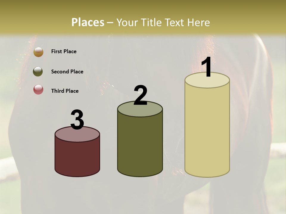 A Brown Horse Standing Next To A Wooden Fence PowerPoint Template