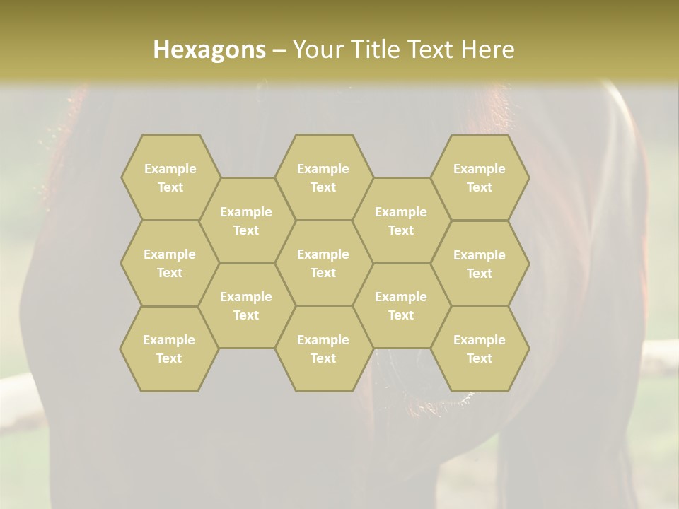 A Brown Horse Standing Next To A Wooden Fence PowerPoint Template