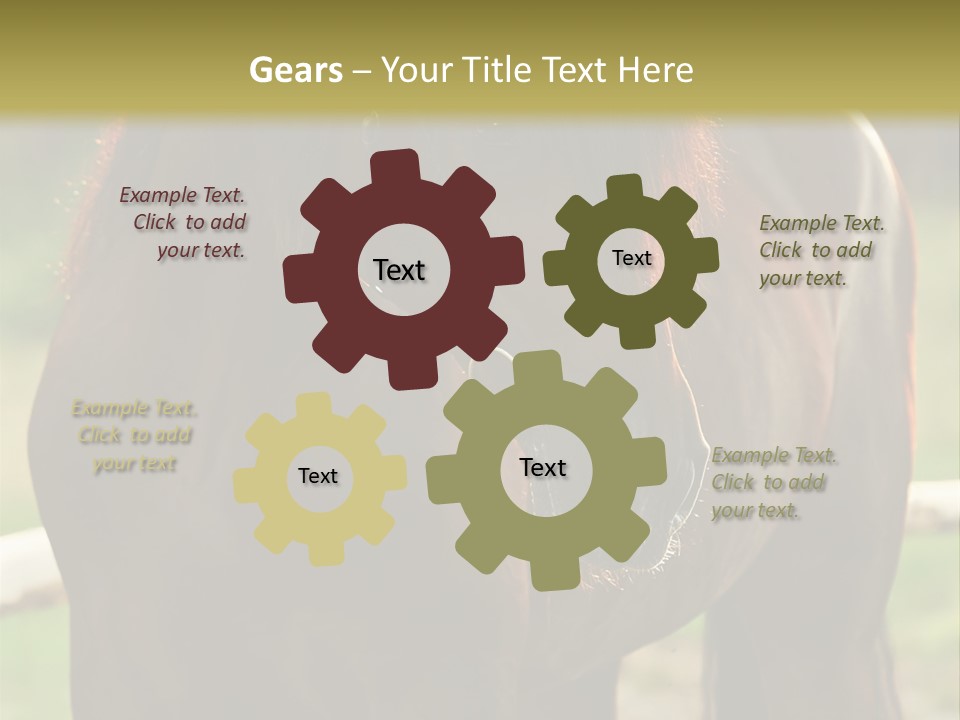 A Brown Horse Standing Next To A Wooden Fence PowerPoint Template