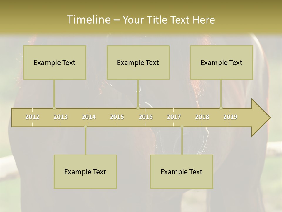 A Brown Horse Standing Next To A Wooden Fence PowerPoint Template