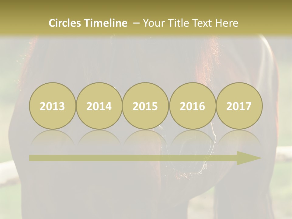 A Brown Horse Standing Next To A Wooden Fence PowerPoint Template