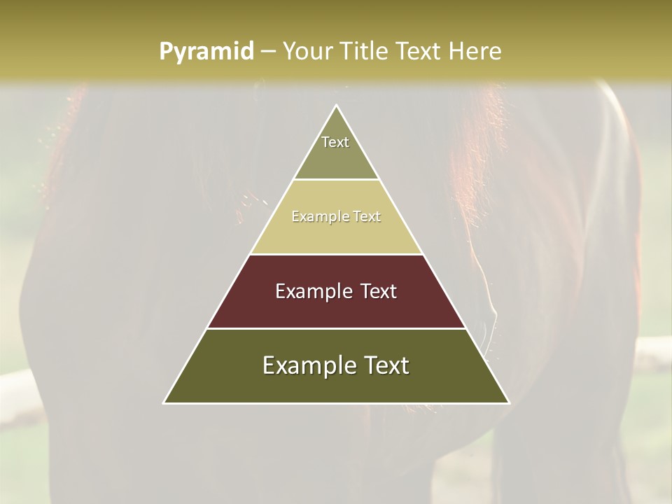 A Brown Horse Standing Next To A Wooden Fence PowerPoint Template