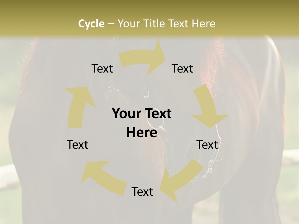 A Brown Horse Standing Next To A Wooden Fence PowerPoint Template