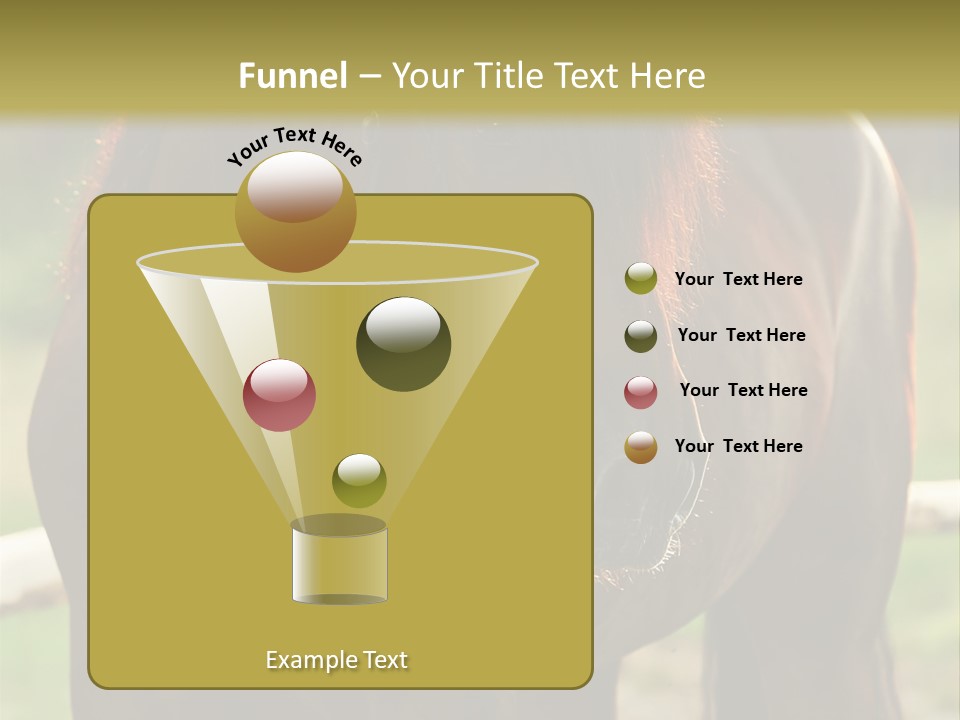 A Brown Horse Standing Next To A Wooden Fence PowerPoint Template