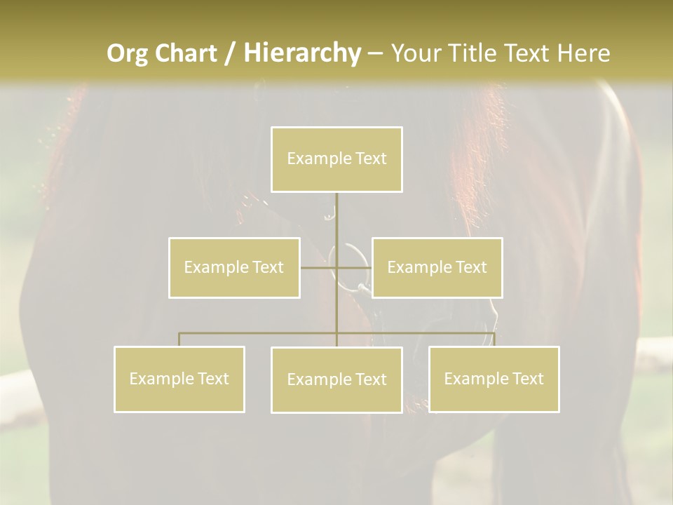 A Brown Horse Standing Next To A Wooden Fence PowerPoint Template