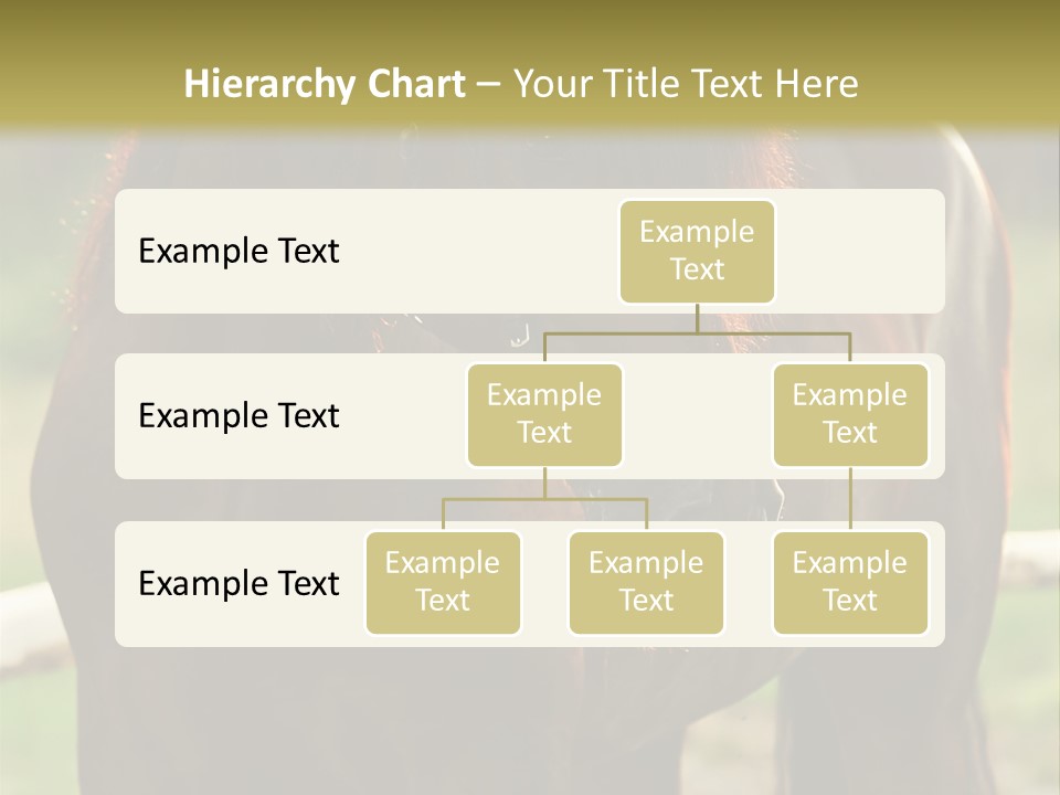 A Brown Horse Standing Next To A Wooden Fence PowerPoint Template