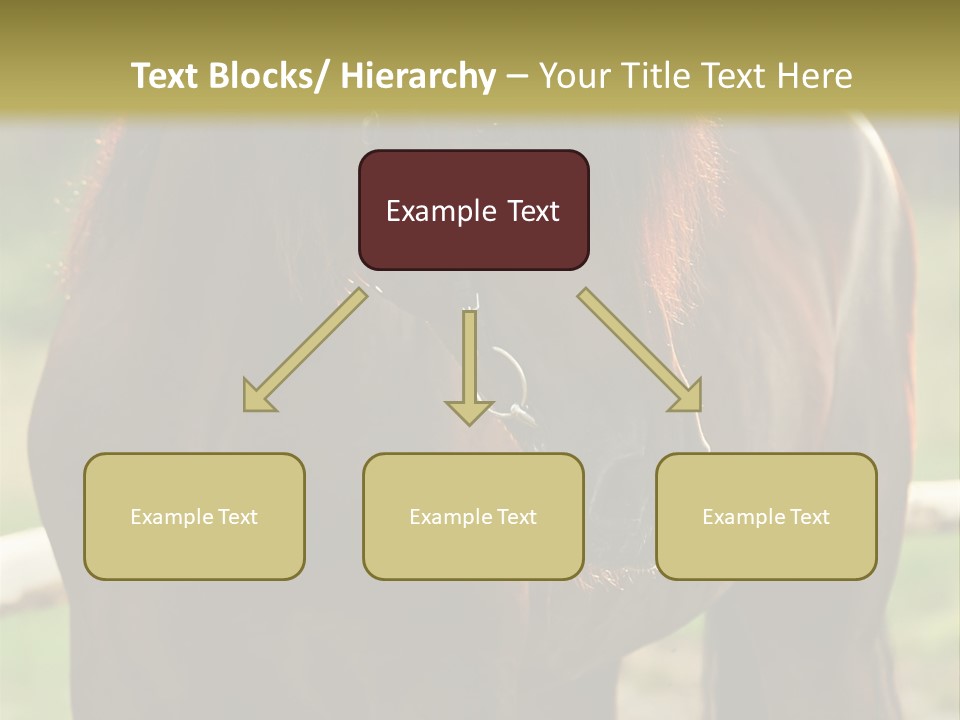 A Brown Horse Standing Next To A Wooden Fence PowerPoint Template