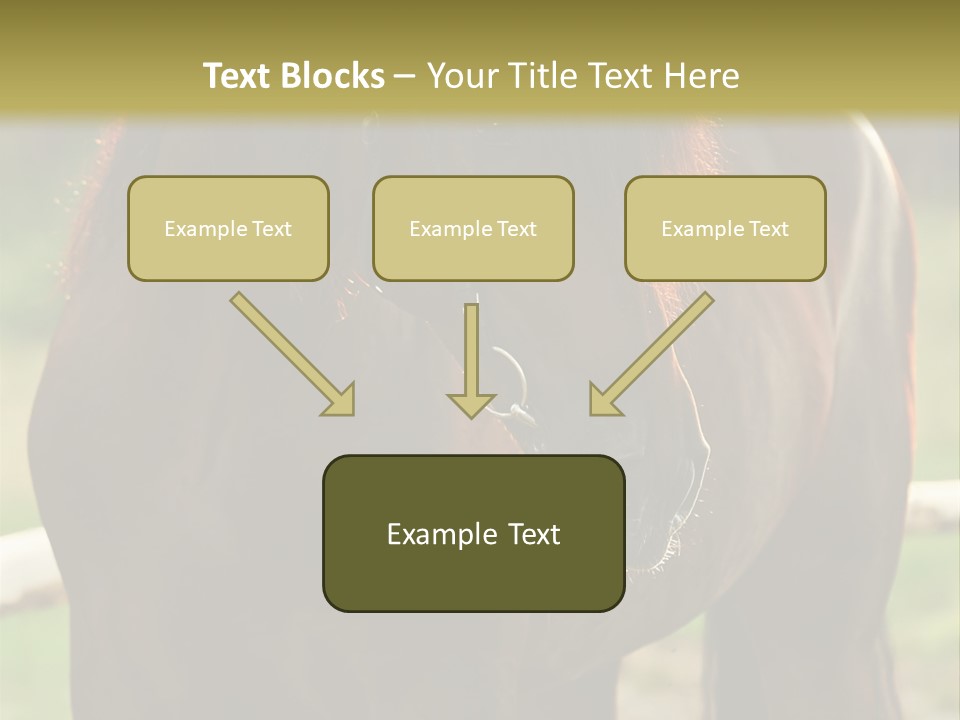 A Brown Horse Standing Next To A Wooden Fence PowerPoint Template