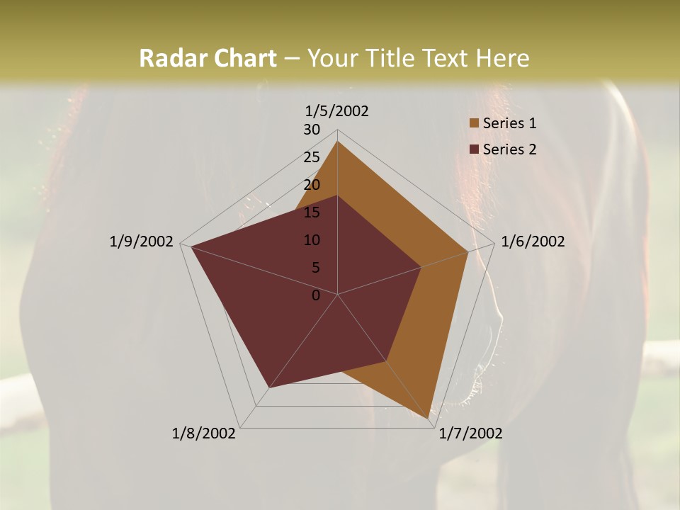 A Brown Horse Standing Next To A Wooden Fence PowerPoint Template