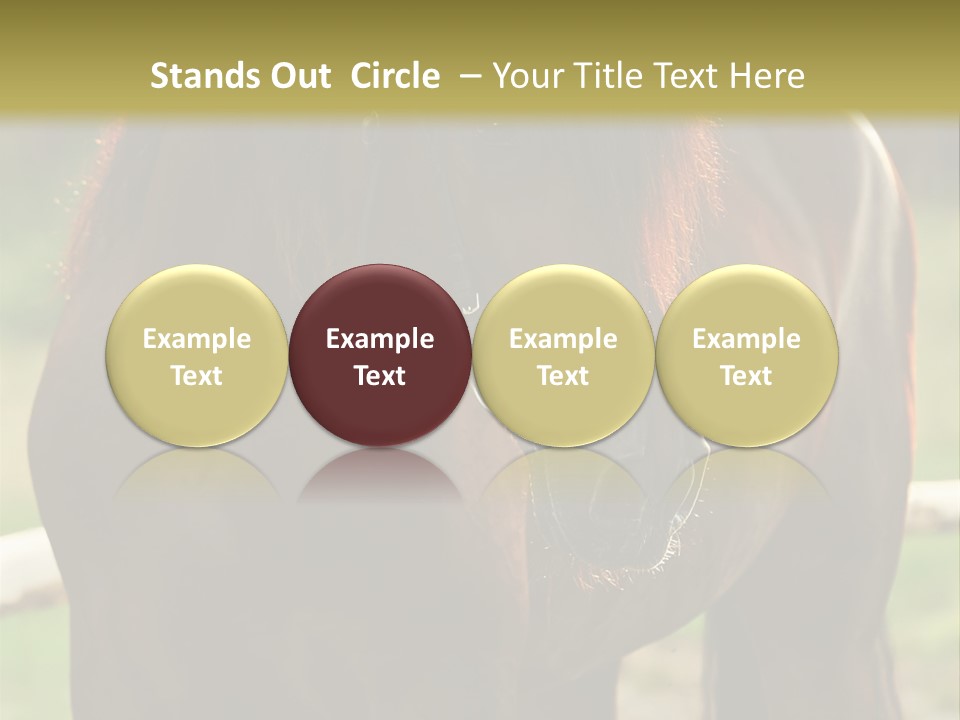 A Brown Horse Standing Next To A Wooden Fence PowerPoint Template