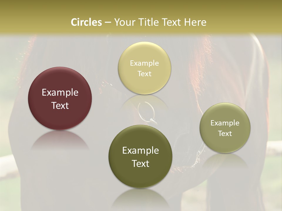 A Brown Horse Standing Next To A Wooden Fence PowerPoint Template