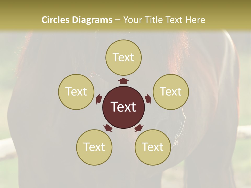 A Brown Horse Standing Next To A Wooden Fence PowerPoint Template